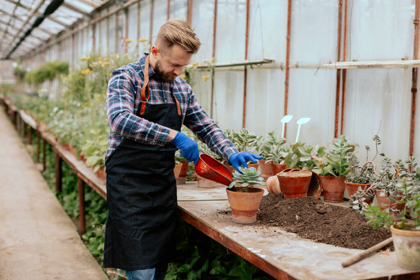 Χαρισματικός κηπουρός που δουλεύει ευτυχισμένος και χαλαρός σε ένα μεγάλο θερμοκήπιο, φύτεψε ένα λουλούδι σε μια γλάστρα. - Φωτογραφία, εικόνα