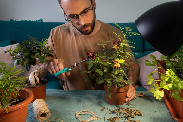 White man with glasses pruning and taking care of house plants - Φωτογραφία, εικόνα