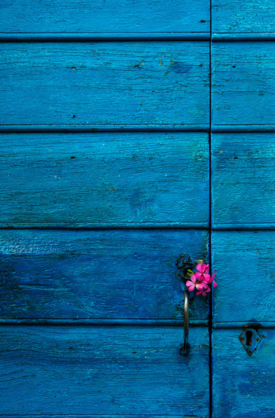 Porta de madeira azul com flores
 - Foto, Imagem