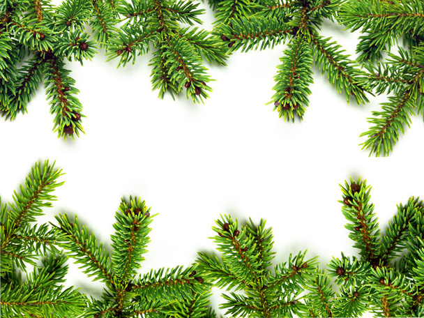 Border fir branches isolated banner template - 写真・画像