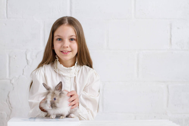 cute little girl with rabbit in the room - Photo, Image