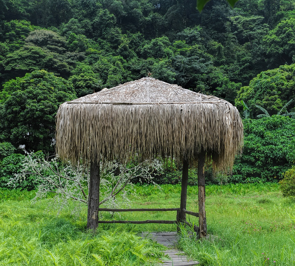 bungalov v trávě - Fotografie, Obrázek