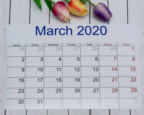 Calendar for March 2020 and a bouquet of three tulips. The concept of spring. - Valokuva, kuva
