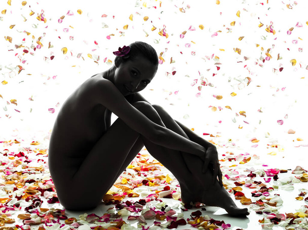 one beautiful asian woman naked sitting  with petal flowers  in silhouette studio isolated on white background - Foto, immagini