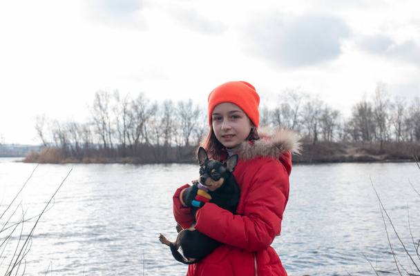 小さなChihuahua犬は愛人のジャケットの下で加熱されます。女の子9川の背景に冬のジャケットで歳 - 写真・画像