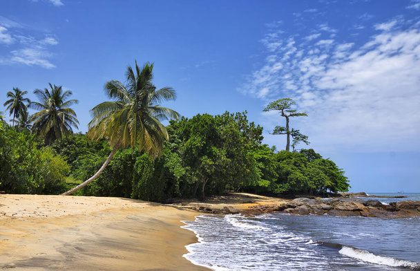 lonely bay on the tropical beach - Foto, Imagem