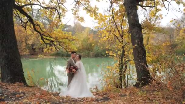 Młoda, atrakcyjna para nowożeńców w jesiennym lesie nad jeziorem. Para zakochanych nowożeńców wśród pięknych kolorowych liści sezonowych. ślub w lesie w przyrodzie - Materiał filmowy, wideo