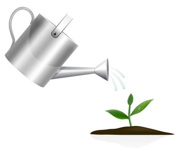 Young plant with watering can - Foto, imagen