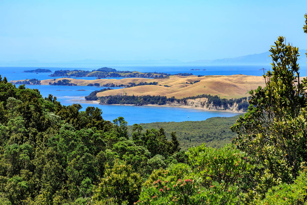 Islands of the Hauraki Gulf, New Zealand. Looking down on grassy Motutapu Island from the forested slopes of Rangitoto Island - Photo, Image