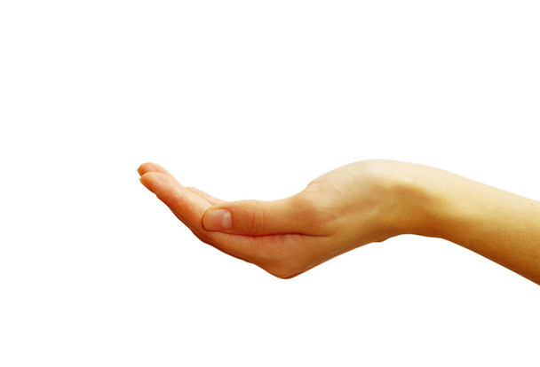 Eine Hand bettelt um Almosen auf weißem Hintergrund - Foto, Bild