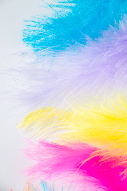 Разноцветные светлые перья на белом фоне. Процесс создания украшений к празднику, перо для боа. Вертикальное фото
 - Фото, изображение