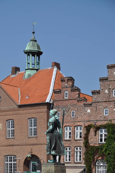 tine fountain and town hall in husum - 写真・画像