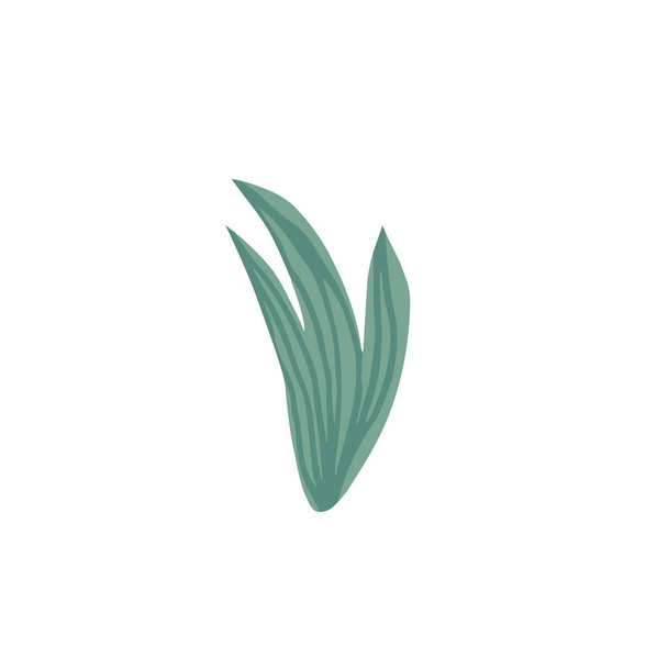 Doodle grass. Green leaf isolated on white background. Simple - Vetor, Imagem