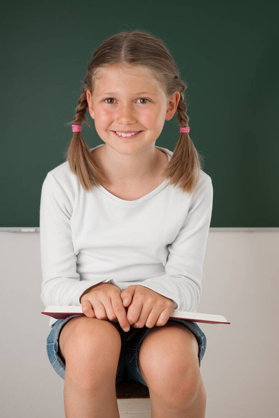 schoolgirl in the classroom - Foto, imagen