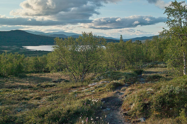 norwegian mountain landscape  at daytime  - Foto, immagini
