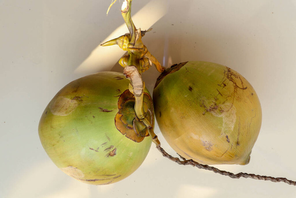 Вид сбоку два целых кокоса. Пара экзотических тропических фруктов. О.
 - Фото, изображение