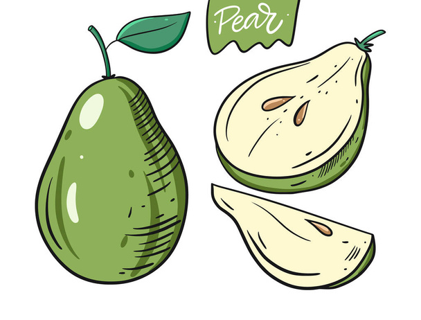 Whole pear, half and slice. Hand drawn vector illustration in cartoon style. Isolated on white background. - Вектор,изображение