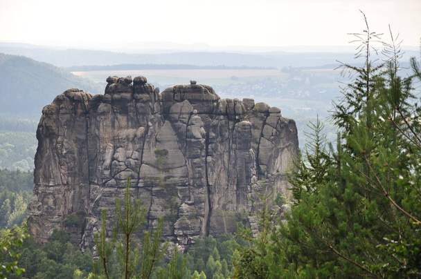 sandstone rocks in the surroundings of the kirnitschtal near bad schandau - Photo, image