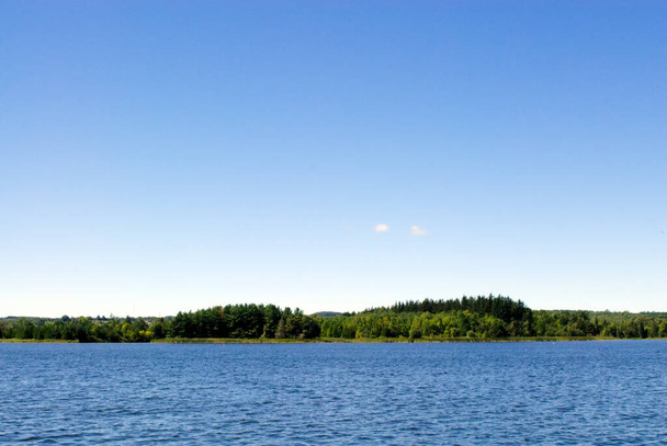 Water ending in forested land against expansive blue sky. - Foto, Bild