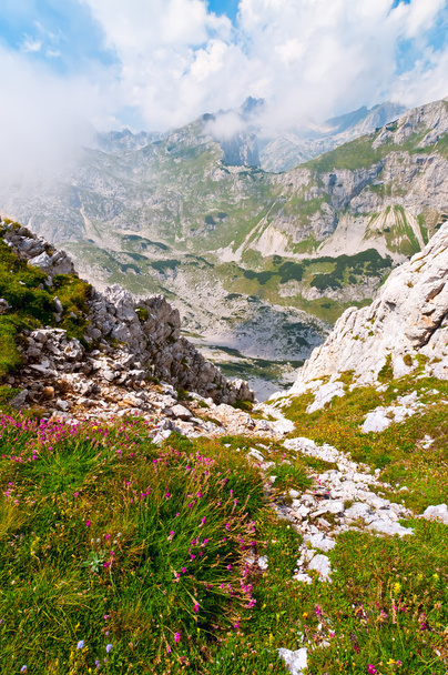 Summer mountains - Foto, Bild