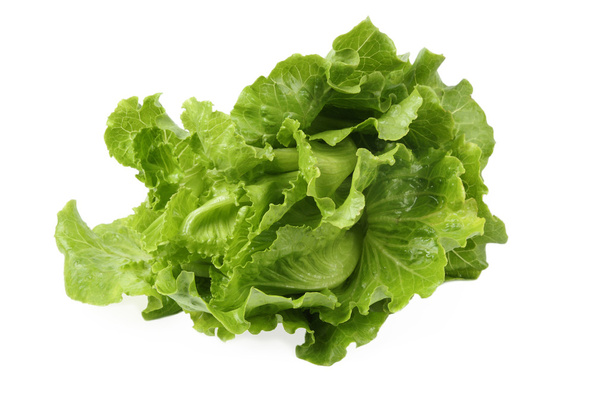 Lettuce - Photo, Image