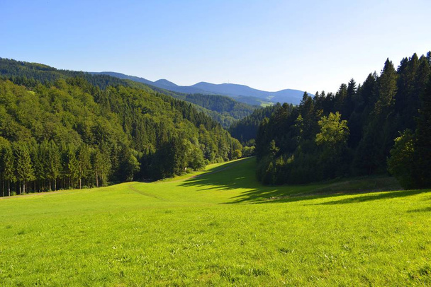 black forest,renchtal,mountain range, - Fotoğraf, Görsel
