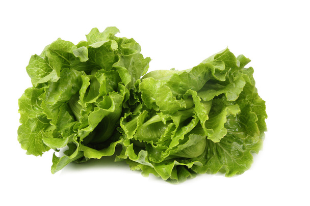 Two lettuce - Photo, Image
