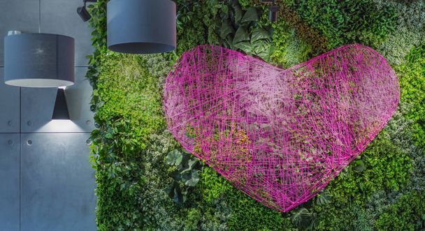 Iso vaaleanpunainen sydän kierteet vihreä kasvi elävä seinä
 - Valokuva, kuva
