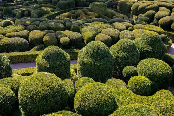   Topiary zahrady Jardins de Marqueyssac v regionu Dordogne, Francie - Fotografie, Obrázek