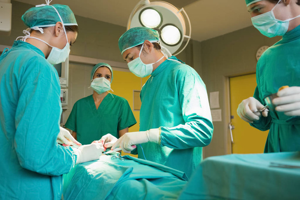 Concentrated surgery team operating in an operating theatre - Foto, afbeelding