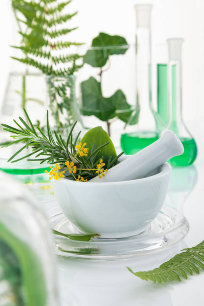 White mortar and pestle with herbs. - Photo, Image