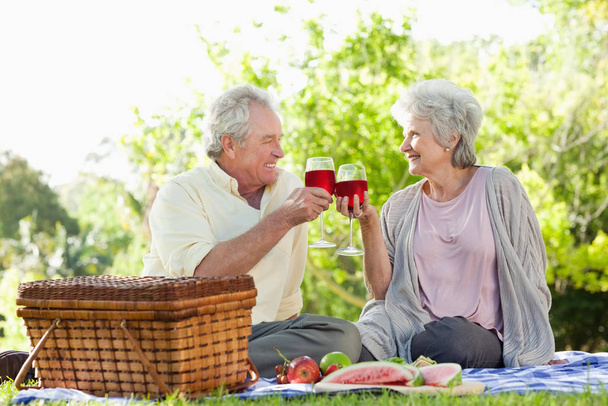 Paar berührt Gläser Wein während eines Picknicks - Foto, Bild