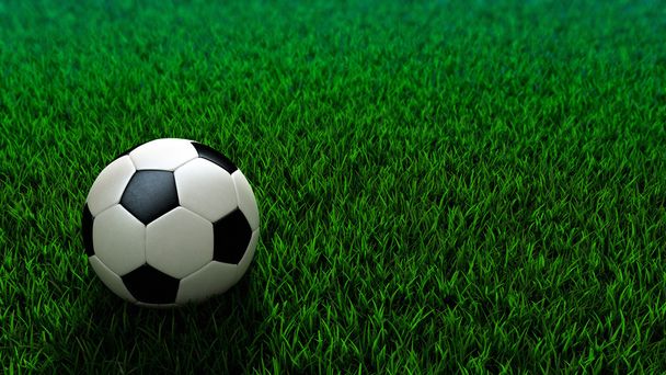 Bola de futebol em pé no campo de grama
 - Foto, Imagem