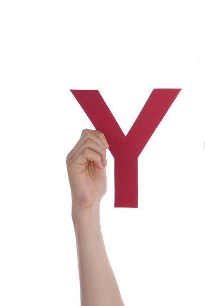 Eine Hand hält ein rotes Y, isoliert - Foto, Bild