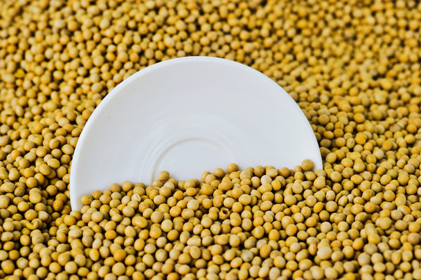 Lots of soybean background - Foto, Imagem