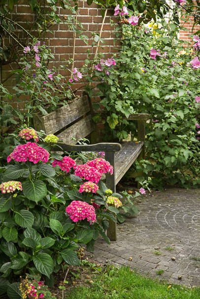 Country-style garden with bench and lots of flowers in summer - Foto, imagen