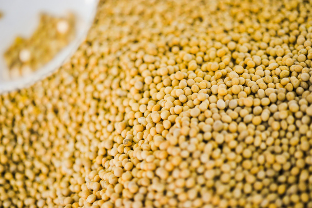 Lots of soybean background - Fotografie, Obrázek