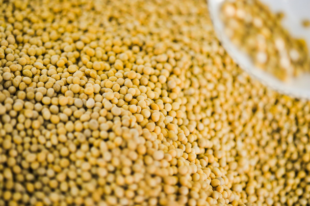 Lots of soybean background - Photo, image