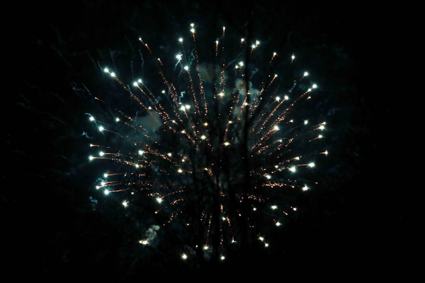 Mooie nieuwjaar vuurwerk viering in zwarte avond hemel. - Foto, afbeelding