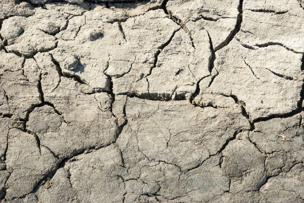 Dry cracked land texture - 写真・画像