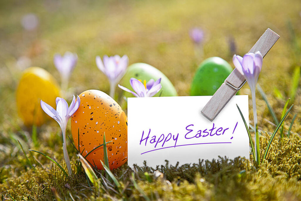 holiday colorful concept of happy easter greeting - Fotoğraf, Görsel