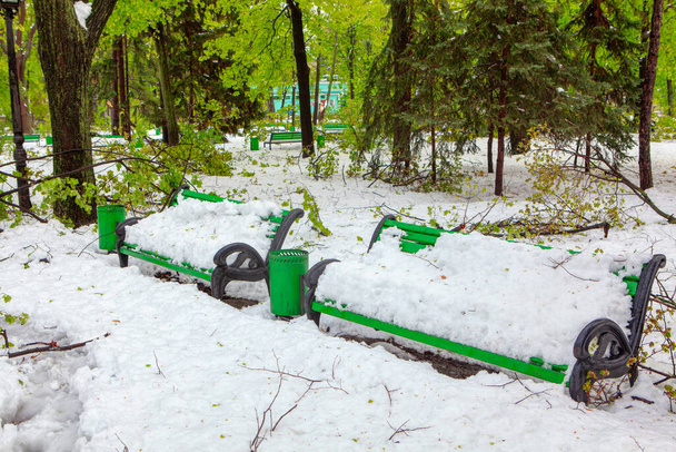 公園の雪に覆われたベンチ  - 写真・画像