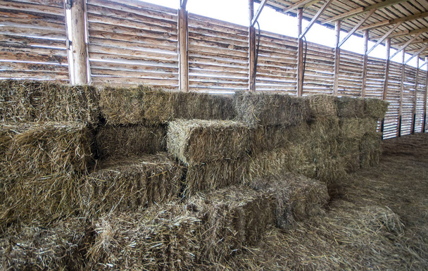 Haystack for horses in a wooden barn 5 - Zdjęcie, obraz