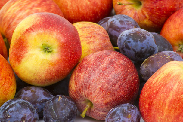 fresh apples and plums - Foto, Imagem