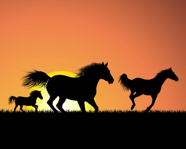 άλογο σε φόντο ηλιοβασίλεμα - Διάνυσμα, εικόνα