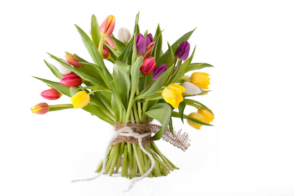 colorful tulips flowers, flora - Fotó, kép