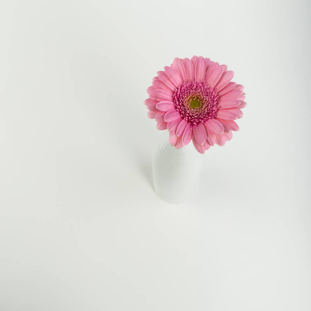 beautiful flowers, floral concept background - Foto, imagen