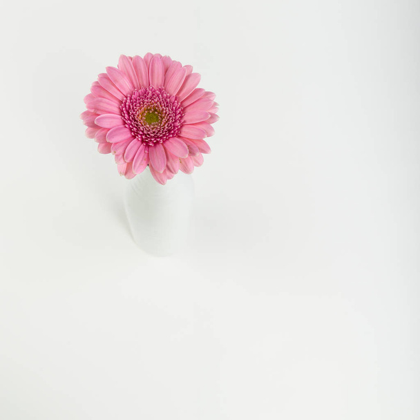 beautiful flowers, floral concept background - Fotó, kép