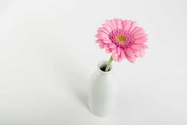 beautiful flowers, floral concept background - Fotografie, Obrázek