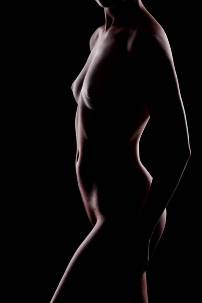 Erotic contour of beautiful nude woman on black background - Fotó, kép